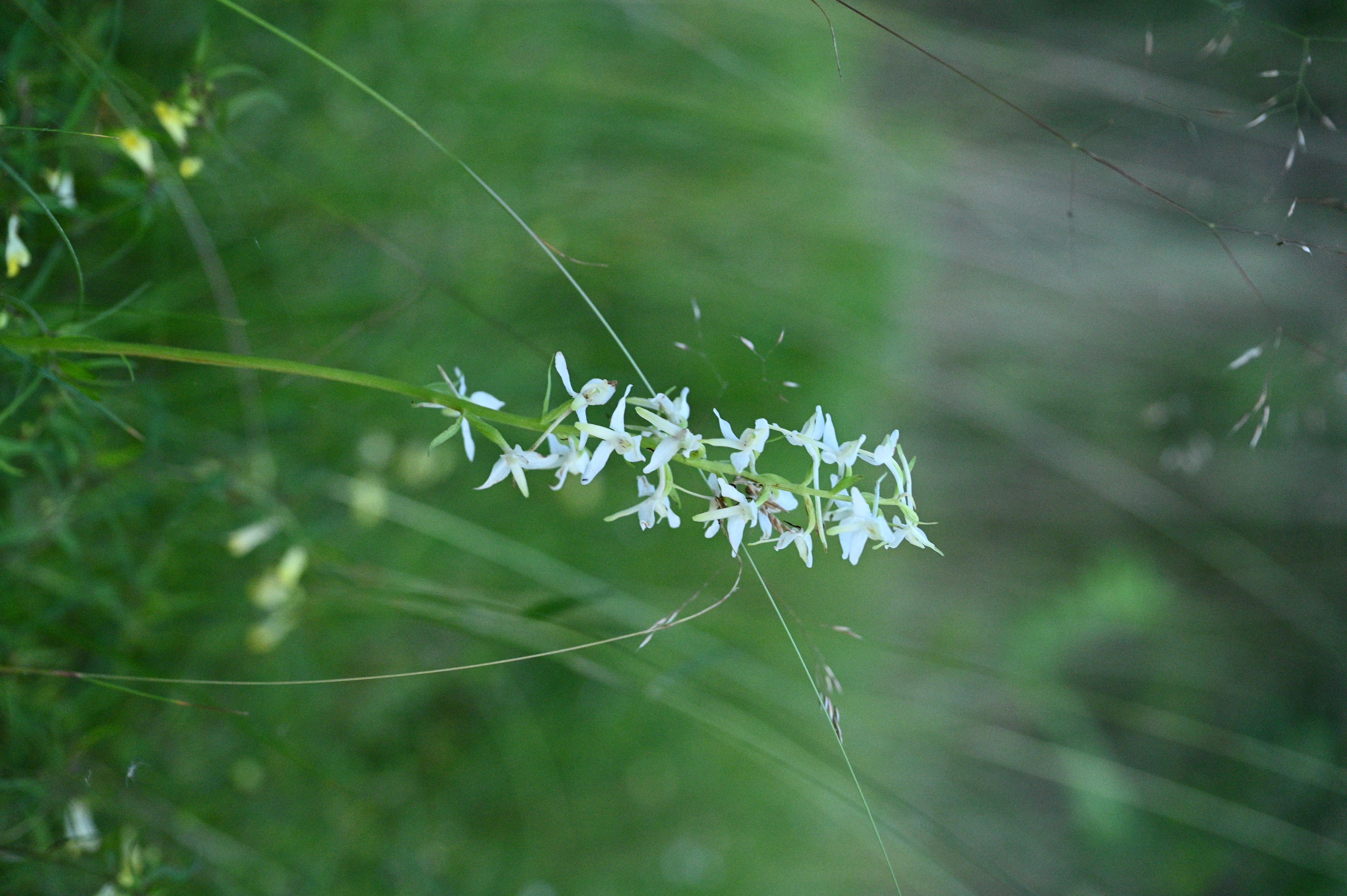 2025/07/09-14 - trip/DSC_0643.JPG